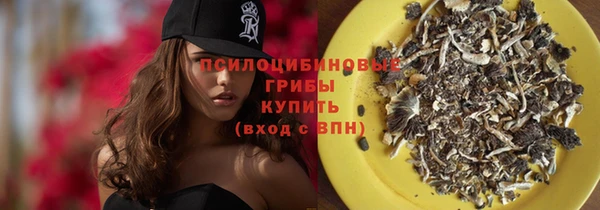 первитин Надым