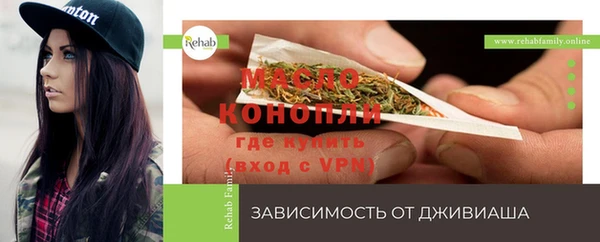 молекула духа Наволоки