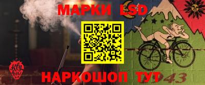 ГАЛЛЮЦИНОГЕННЫЕ ГРИБЫ Новокубанск